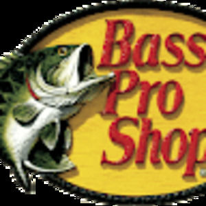 Meet your Posher, Bingham